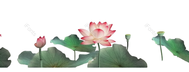 叶子图片,水墨元素,元素PNG,清新免抠素材